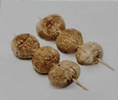 Brochette champignon de Paris